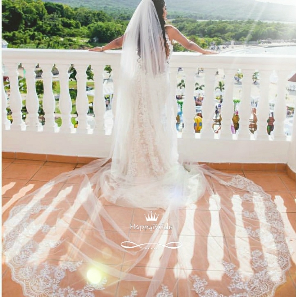 Stunning Cathedral Lace & sequins Veil